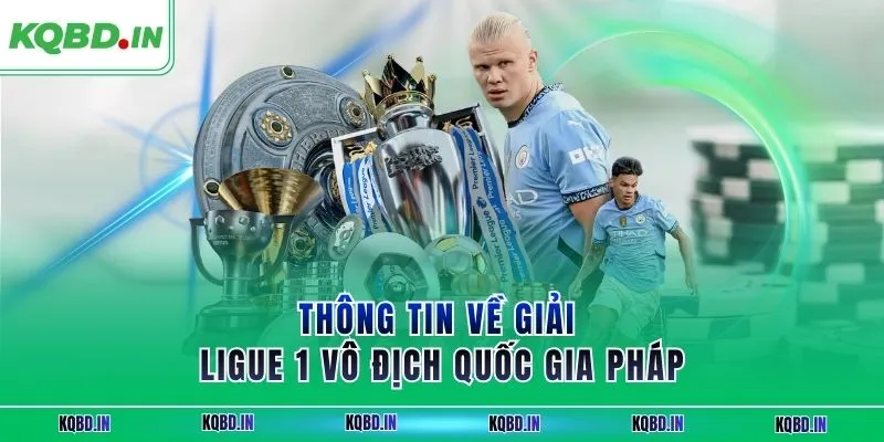 Ligue 1 33 Thông tin về giải Ligue 1 vô địch quốc gia Pháp