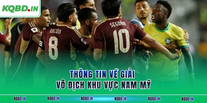 Vô Địch Nam Mỹ 30 Thông tin về giải vô địch khu vực Nam Mỹ